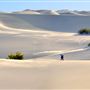 Death Valley National Park