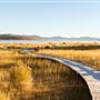 Mono Lake Tufa State Natural Reserve (SNR) / South Tufa Lake - Inyo National Forest (NF)