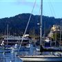 Monterey - Downtown Views