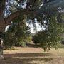 Agua Dulce Horse Ranch