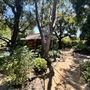 Storrier Stearns Japanese Garden