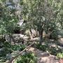Storrier Stearns Japanese Garden