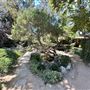 Storrier Stearns Japanese Garden