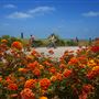 San Onofre State Beach (SB)