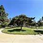 Anderson Park - City of Carson