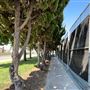 Anderson Park - City of Carson