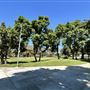Anderson Park - City of Carson