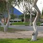 California State University, Long Beach - CSULB