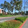 California State University, Long Beach - CSULB
