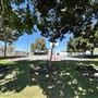 Calas Park - City of Carson