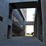 California State Polytechnic University, Pomona - Cal Poly Pomona