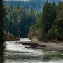 John B. Dewitt Redwoods State National Reserve (SNR)