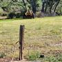 Ranch farmhouse, 4 acres