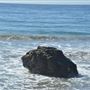 El Pescador State Beach @ Robert H. Meyer Memorial State Beach (SB) - CFC