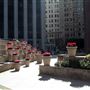 Financial District, San Francisco