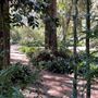Descanso Gardens