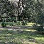 Descanso Gardens