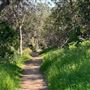 Descanso Gardens