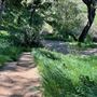 Descanso Gardens
