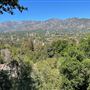 Descanso Gardens