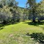 Descanso Gardens