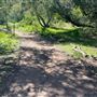Descanso Gardens
