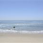 La Piedra State Beach @ Robert H. Meyer Memorial State Beach (SB) - CFC