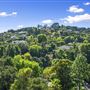 Sherman Oaks Oasis