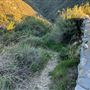 Shoemaker Viewpoint Day Use Area - Angeles National Forest