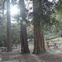 Crystal Lake Recreation Area / Campground - Angeles National Forest