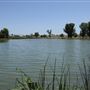 Mojave Narrows Regional Park