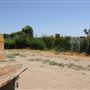 Mojave Narrows Regional Park