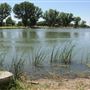 Mojave Narrows Regional Park