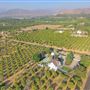 King Street Orchard & Farmhouse