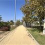 Rio de Los Angeles State Park (SP) - Taylor Yard - Inter Agency - LA City Parks & CA State Parks