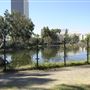 La Brea Tar Pits - George Page Museum
