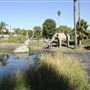 La Brea Tar Pits - George Page Museum