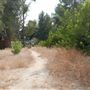Ernest E. Debs Regional Park
