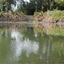 Ernest E. Debs Regional Park