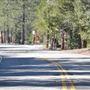 Angeles Crest Highway - SR2