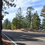 Angeles Crest Highway - SR2