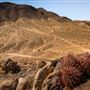 Johnson Valley