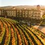 Allegretto Vineyard Resort