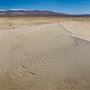 Olancha Sand Dunes - Bureau of Land Management - California Desert District - Ridgecrest Field Office - BLM - Off Highway Vehicle Area - OHV