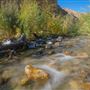 Whitewater Preserve