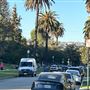 Windsor Square Neighborhood
