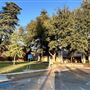Fresno City College (FCC)