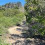 Griffith Park Redwoods - Cedar Grove