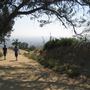 Griffith Observatory - Griffith Park