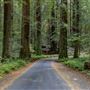Humboldt Redwoods State Park (SP)